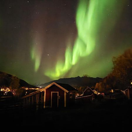 Koselig Dyregard I Tromso Hotel Bagian luar foto