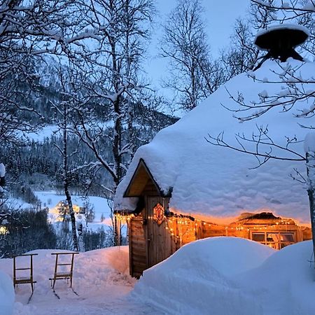 Koselig Dyregard I Tromso Hotel Bagian luar foto