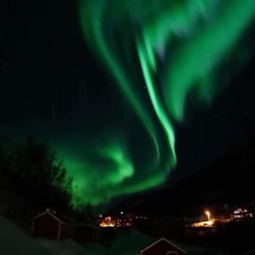 Koselig Dyregard I Tromso Hotel Bagian luar foto