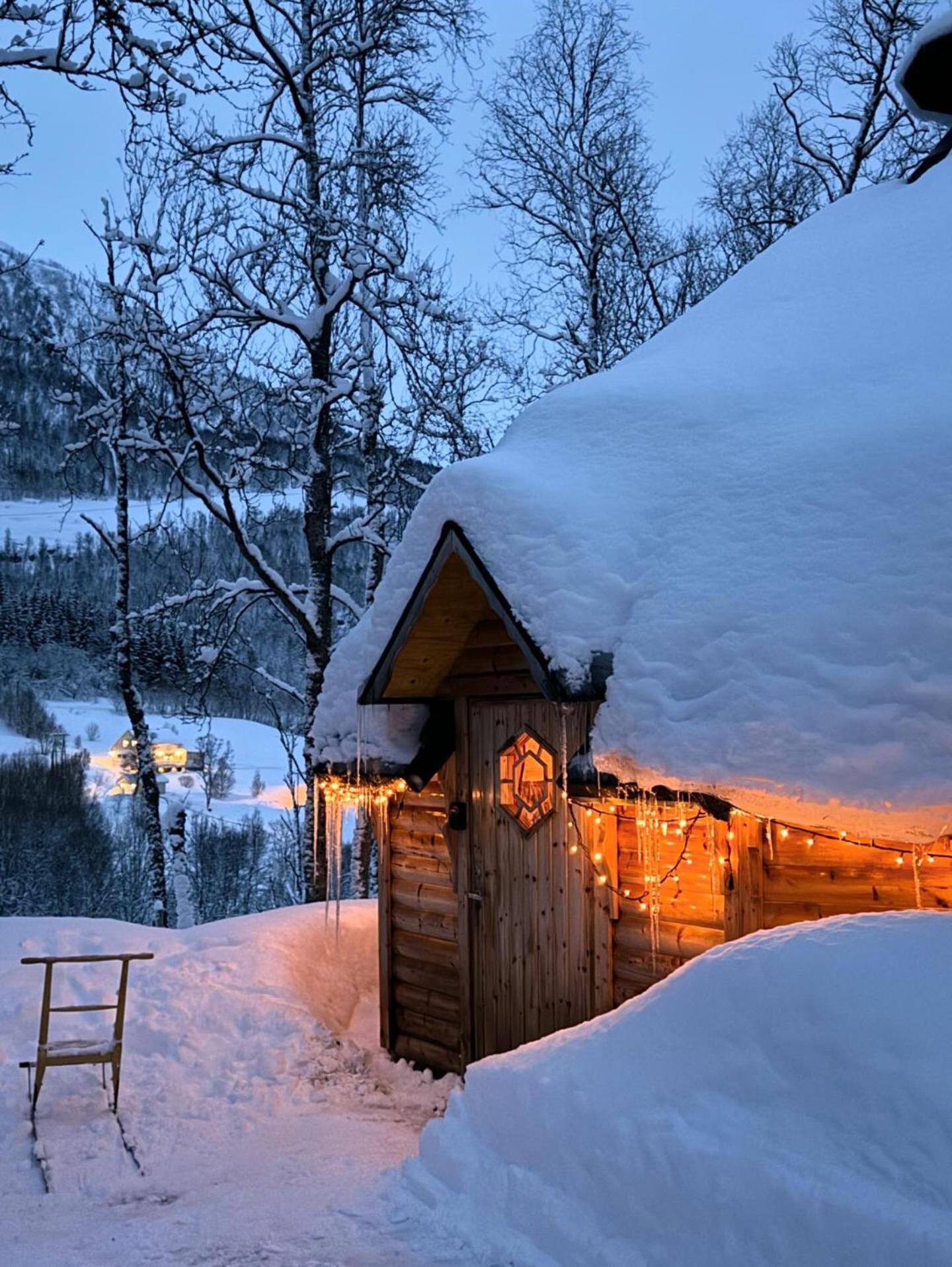 Koselig Dyregard I Tromso Hotel Bagian luar foto