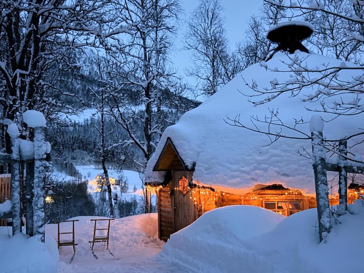 Koselig Dyregard I Tromso Hotel Bagian luar foto